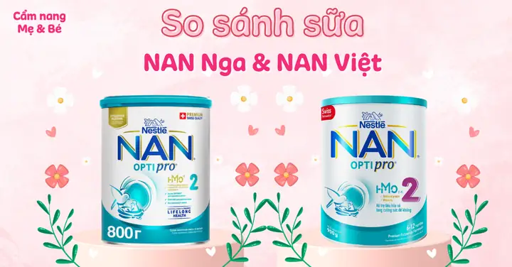 Cách Nhận Biết Sữa Nan Nga Chuẩn