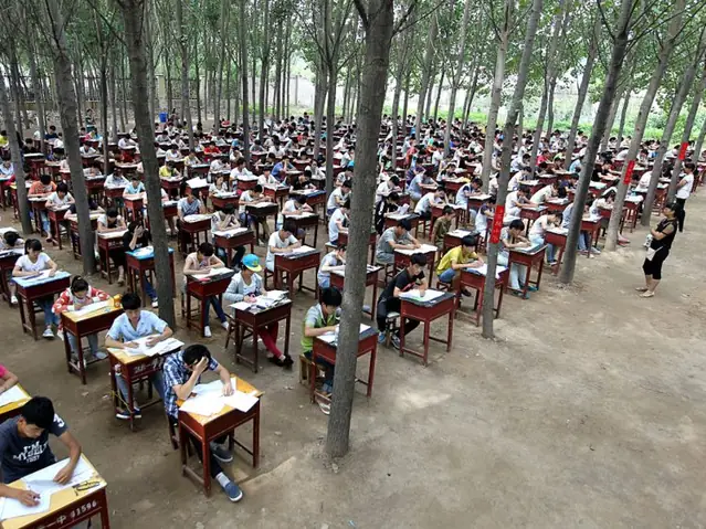 Cách Nuôi Dạy Con Của Người Châu Âu