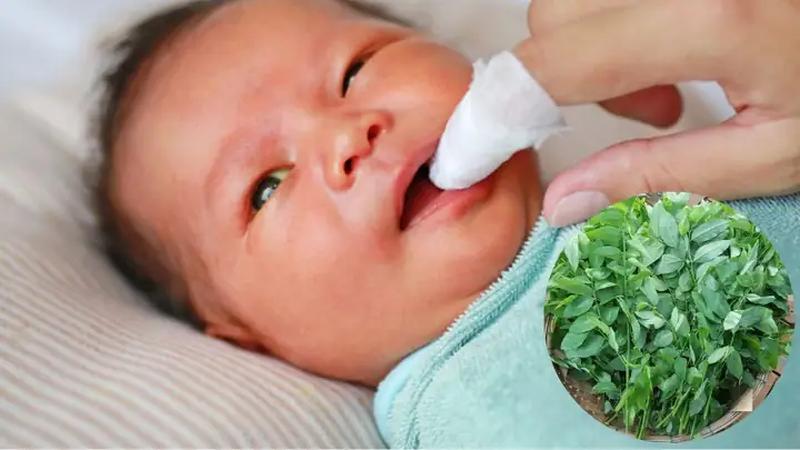 Cách Rơ Lưỡi Bằng Rau Ngót