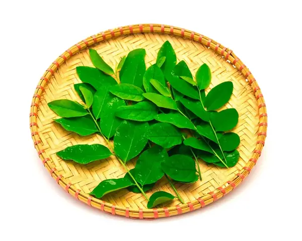 Cách Rơ Lưỡi Bằng Rau Ngót