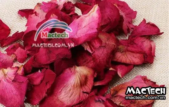 Cách Sấy Khô Cánh Hoa Hồng