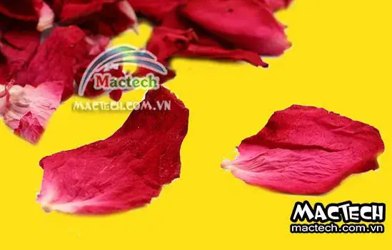 Cách Sấy Khô Cánh Hoa Hồng