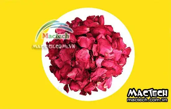Cách Sấy Khô Cánh Hoa Hồng