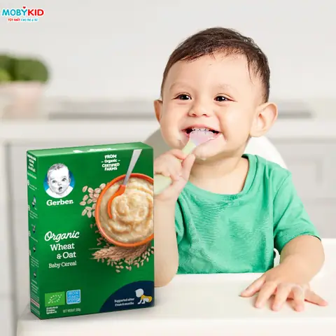 Cách Sử Dụng Bột Ăn Dặm Gerber Rice Cereal