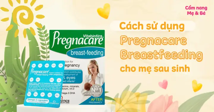 Cách Sử Dụng Vitamin Bú Pregnacare