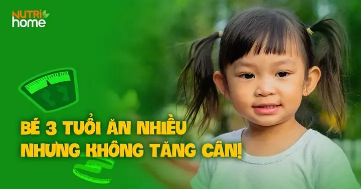 Cách Tăng Cân Cho Trẻ 3 Tuổi