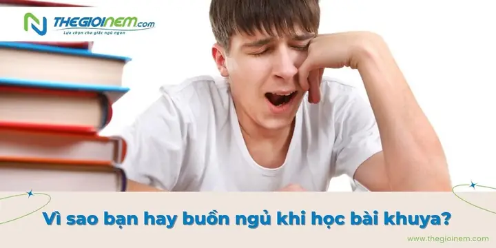 Cách Thức Khuya Học Bài Không Buồn Ngủ