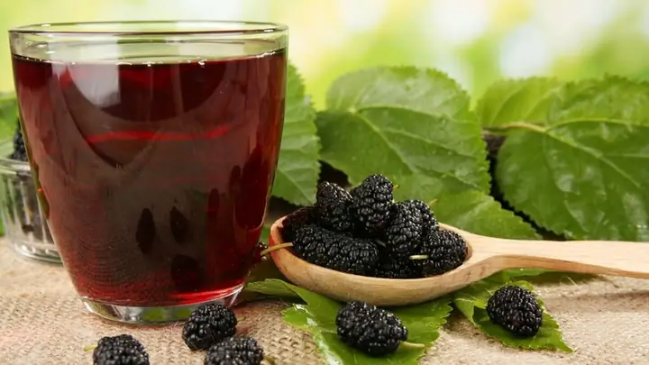 Cách Tiêu Sữa Bằng Lá Dâu Tằm