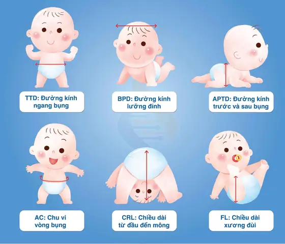 Cách Tính Tuổi Thai Theo Đường Kính Lưỡng Đỉnh Cách Tính Tuổi Thai Theo Đường Kính Lưỡng Đỉnh
