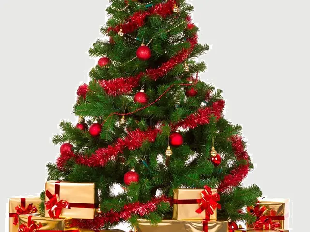 Cách Trang Trí Cây Thông Noel Đơn Giản
