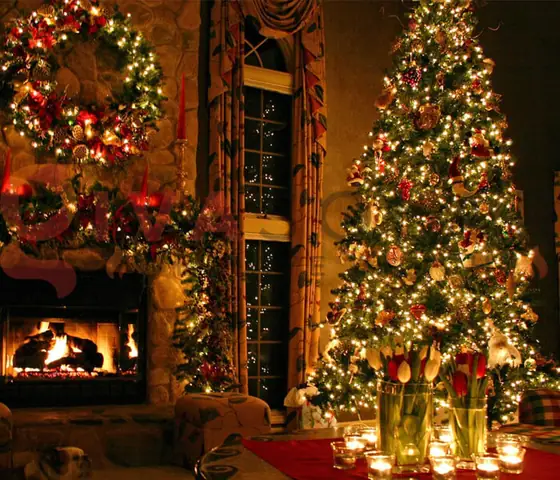 Cách Trang Trí Đèn Cây Thông Noel