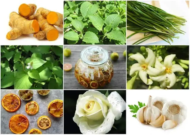 Cách Trị Ho Cho Bé 10 Tháng Tuổi