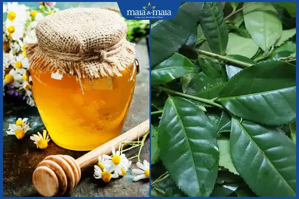 Cách Trị Mụn Bằng Mật Ong Cho Da Dầu