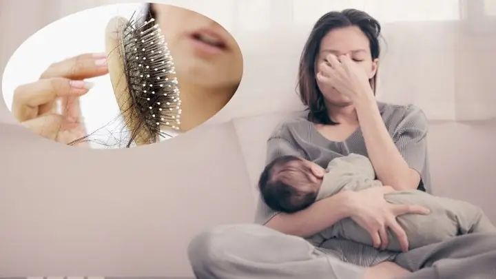 Cách Trị Rụng Tóc Cho Mẹ Sau Sinh