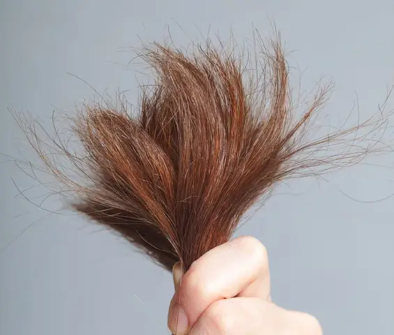 Cách Trị Tóc Khô Xơ Chẻ Ngọn