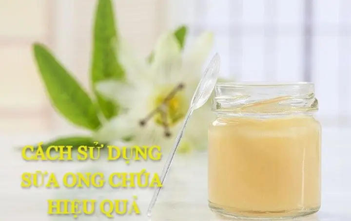 Cách Uống Sữa Ong Chúa Đúng Cách