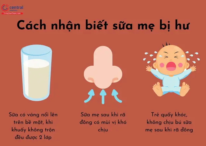 Cách Vận Chuyển Sữa Trữ Đông