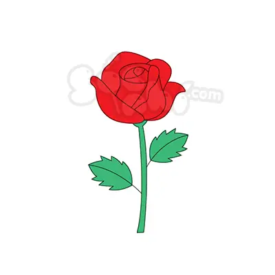 Cách Vẽ Bông Hoa Hồng Đẹp