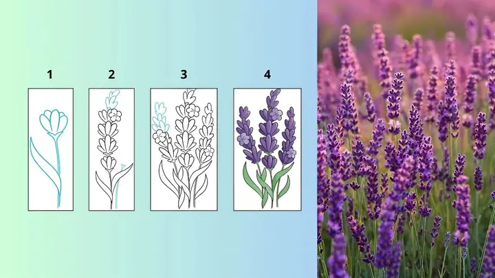 Cách Vẽ Các Loại Hoa Đẹp