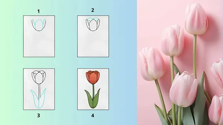 Cách Vẽ Các Loại Hoa Đẹp