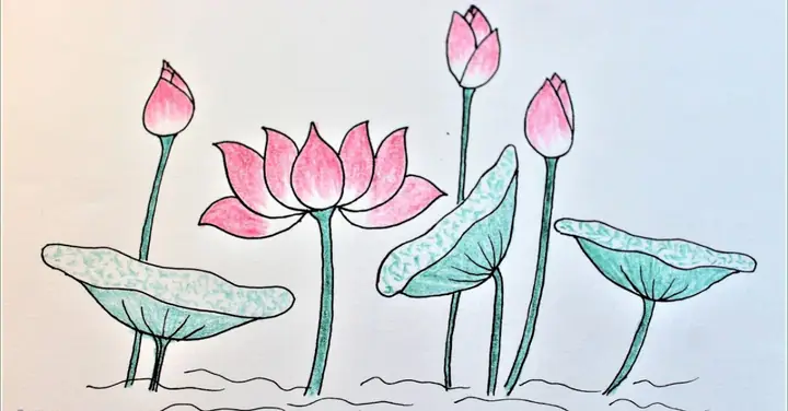 Cách Vẽ Hồ Sen Đơn Giản