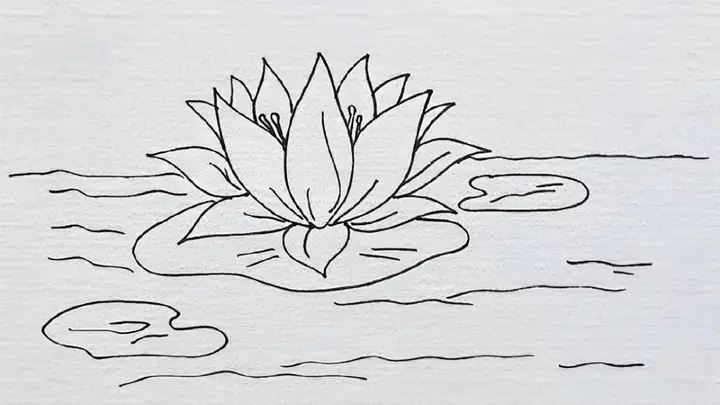 Cách Vẽ Hồ Sen Đơn Giản