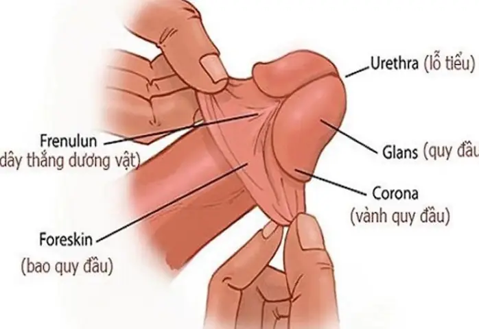 Cách Vệ Sinh Cho Bé Trai Sơ Sinh