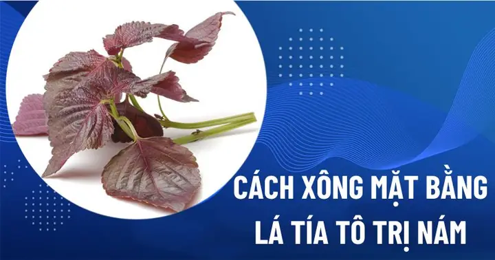 Cách Xông Da Mặt Bằng Lá Tía Tô