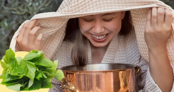 Cách Xông Da Mặt Bằng Lá Tía Tô