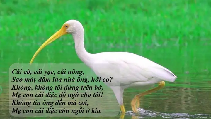 Cái Cò Cái Vạc Cái Nông Lời