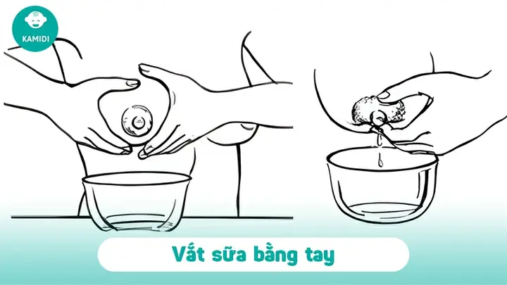 Cai Sữa Có Nên Vắt Sữa Ra Không