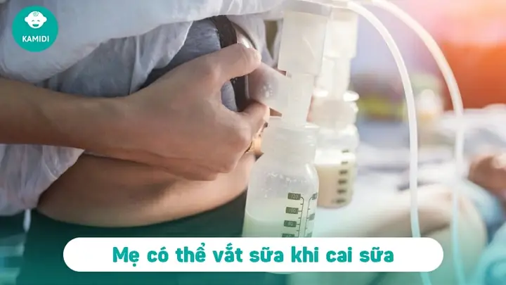 Cai Sữa Có Nên Vắt Sữa Ra Không