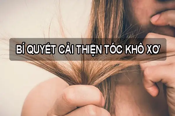 Cải Thiện Tình Trạng Tóc Khô Xơ