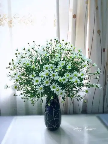 Cắm Cúc Họa Mi Bình Cao