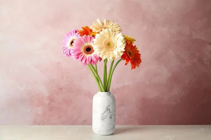 Cắm Hoa Đơn Giản Và Đẹp