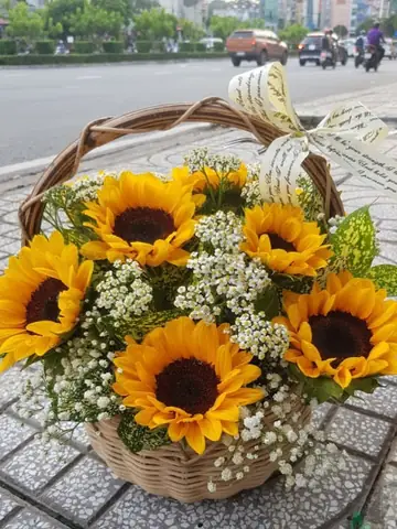 Cắm Hoa Hướng Dương 8 3