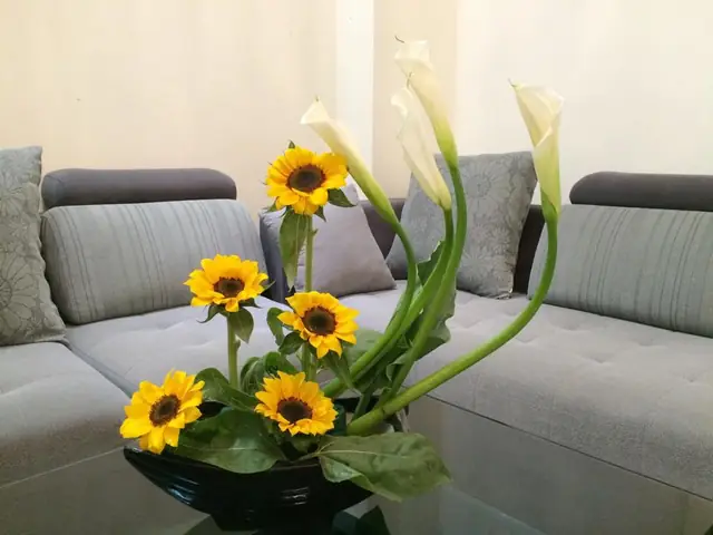 Cắm Hoa Hướng Dương 8 3