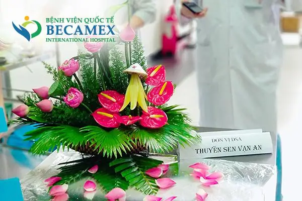 Cắm Hoa Ngày 20 Tháng 10 Cắm Hoa Ngày 20 Tháng 10