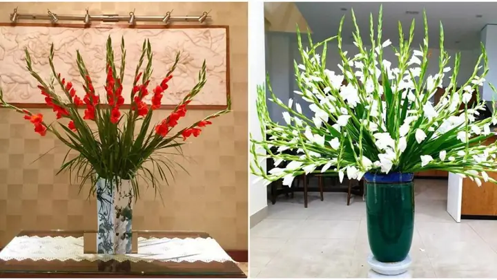 Cắm Lọ Hoa Đẹp Ngày Tết