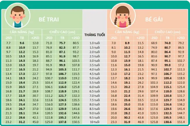 Cân Nặng Chuẩn Của Trẻ 6 Tuổi
