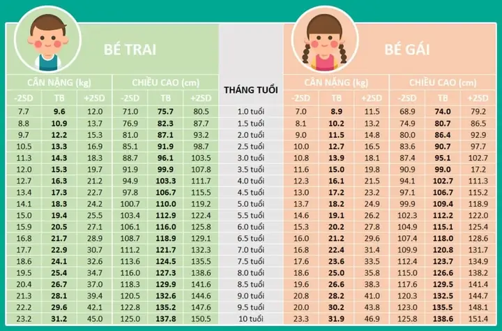 Cân Nặng Chuẩn Của Trẻ 6 Tuổi