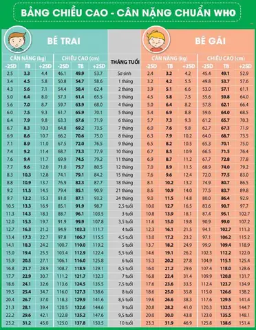 Cân Nặng Của Bé Trong Bụng Mẹ