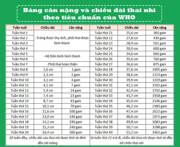 Cân Nặng Của Thai Nhi 22 Tuần Tuổi