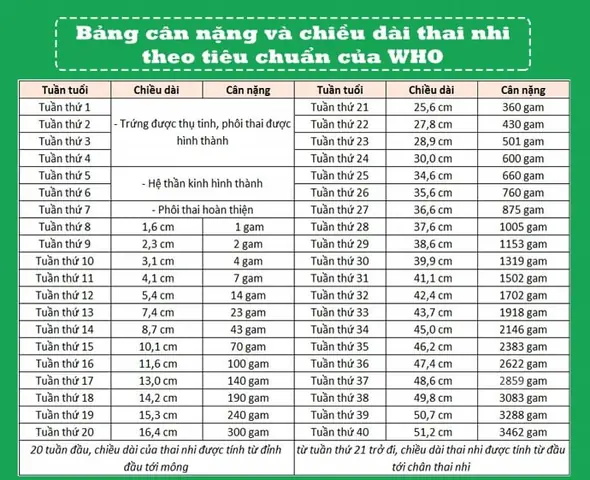 Cân Nặng Tiêu Chuẩn Của Thai Nhi 33 Tuần Tuổi