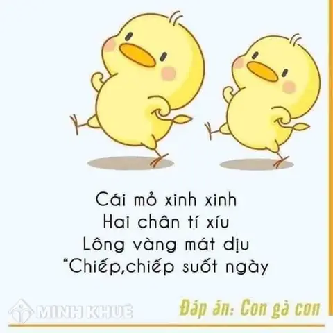 Câu Đố Hay Cho Học Sinh Tiểu Học Câu Đố Hay Cho Học Sinh Tiểu Học