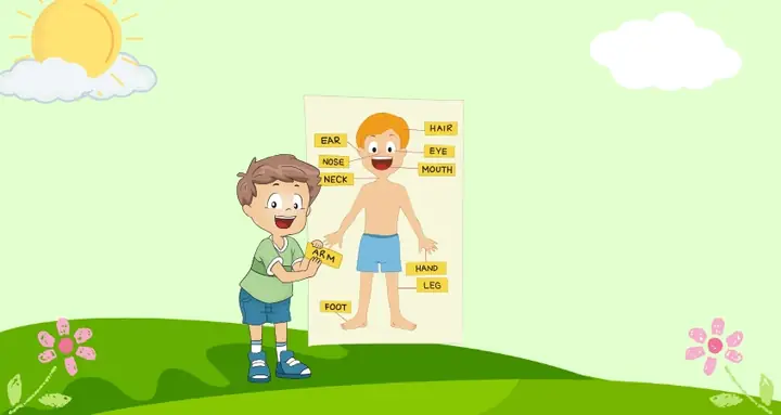Câu Đố Vui Cho Bé 6 Tuổi