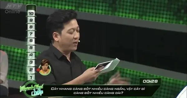 Cây Gì Dài Nhất Đáp Án