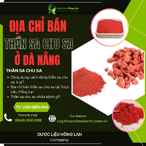 Cây Sa Chi Chữa Bệnh Gì