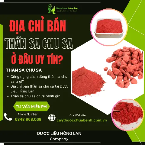 Cây Sa Chi Chữa Bệnh Gì
