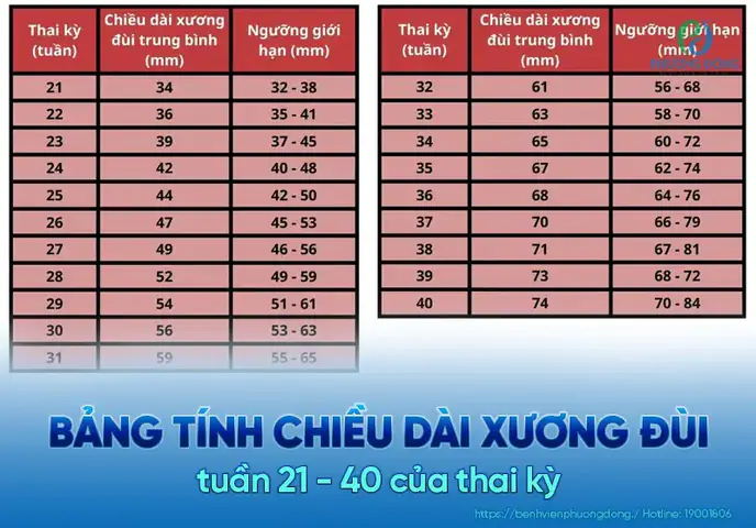 Trong Sieu Am La Gi